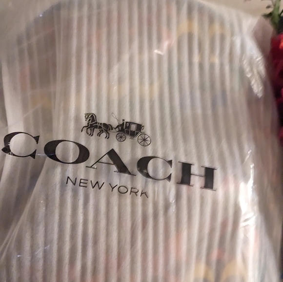 Coach rainbow medium backpack - Picture 2 of 4